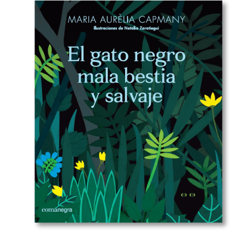 capmany-gato-negro